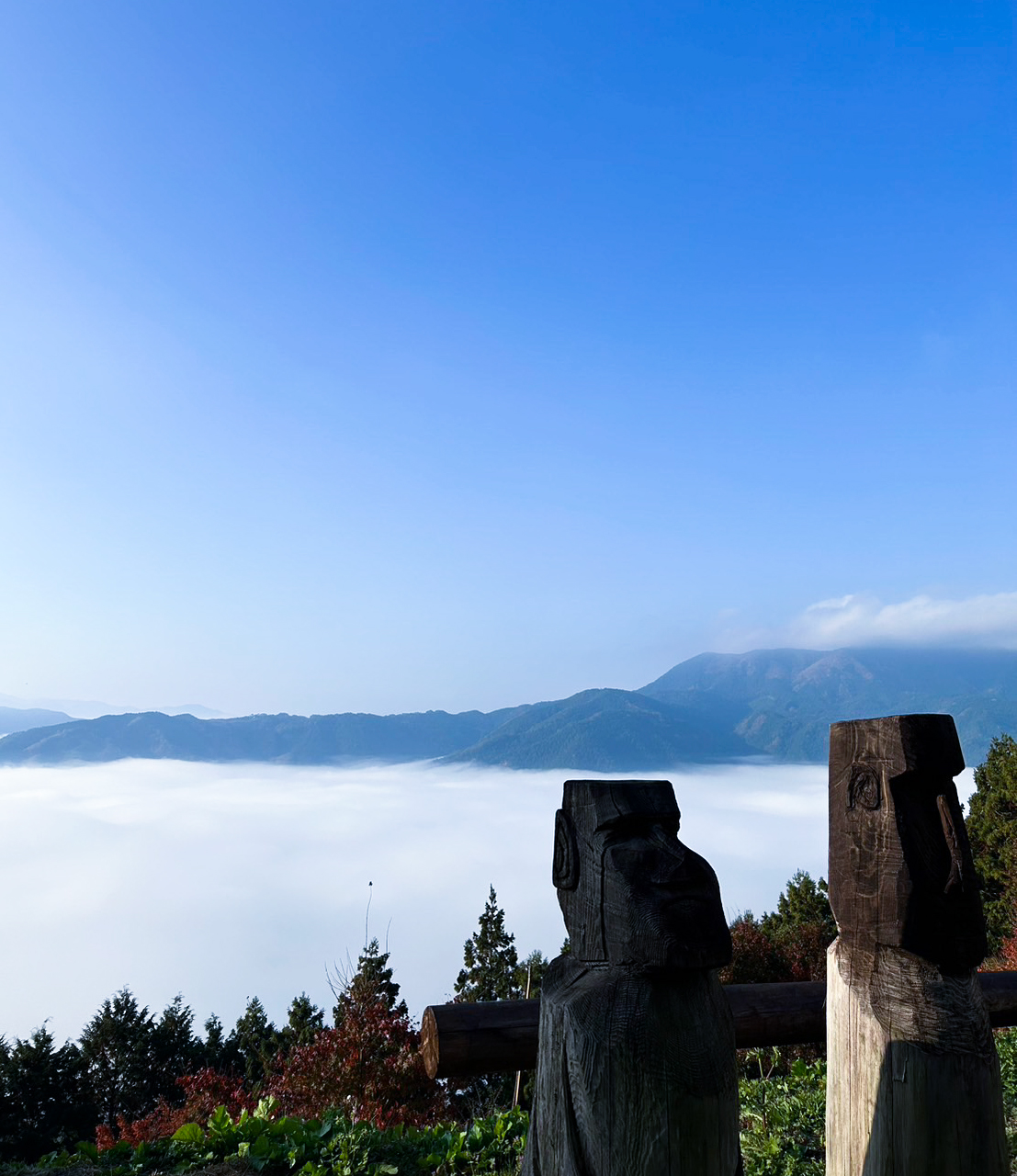 ガーデンタイム 雲海